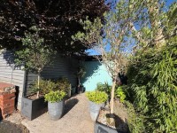Images for Granada Road, Denton