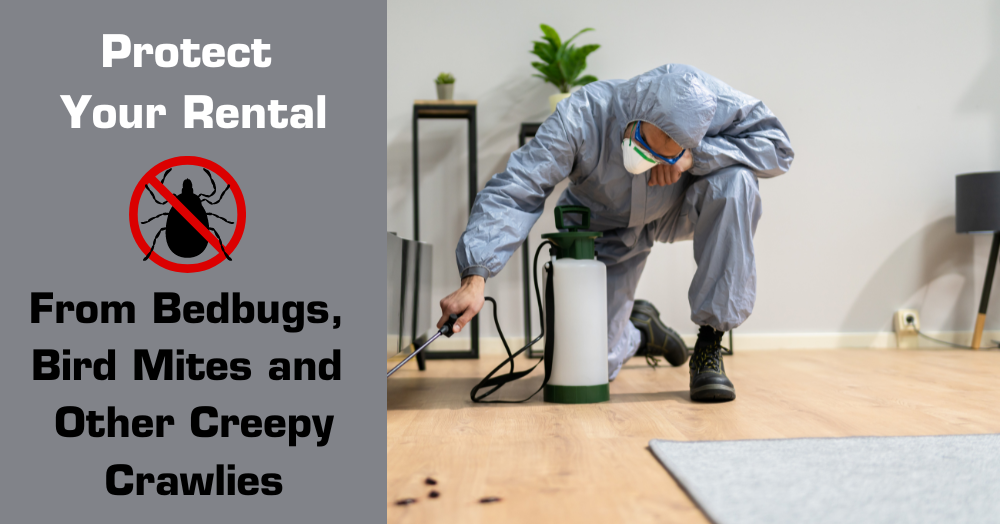 Protect Your Rental from Bedbugs, Bird Mites and Other Creepy Crawlies