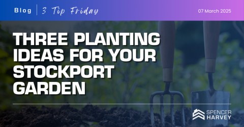Three Planting Ideas for Your Stockport Garden