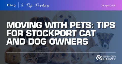 Moving with Pets: Tips for Stockport Cat and Dog Owners 