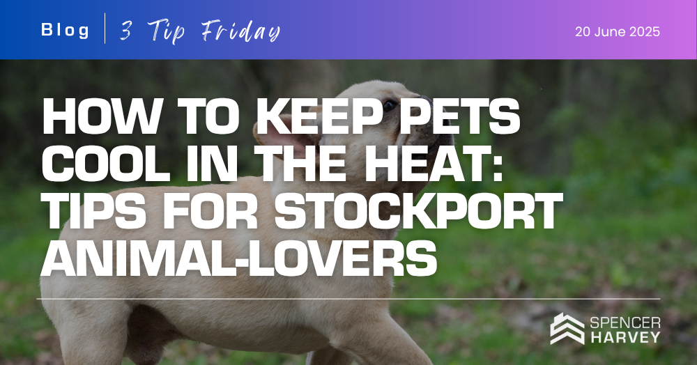 How to Keep Pets Cool in the Heat:  Tips for Stockport Animal-Lovers