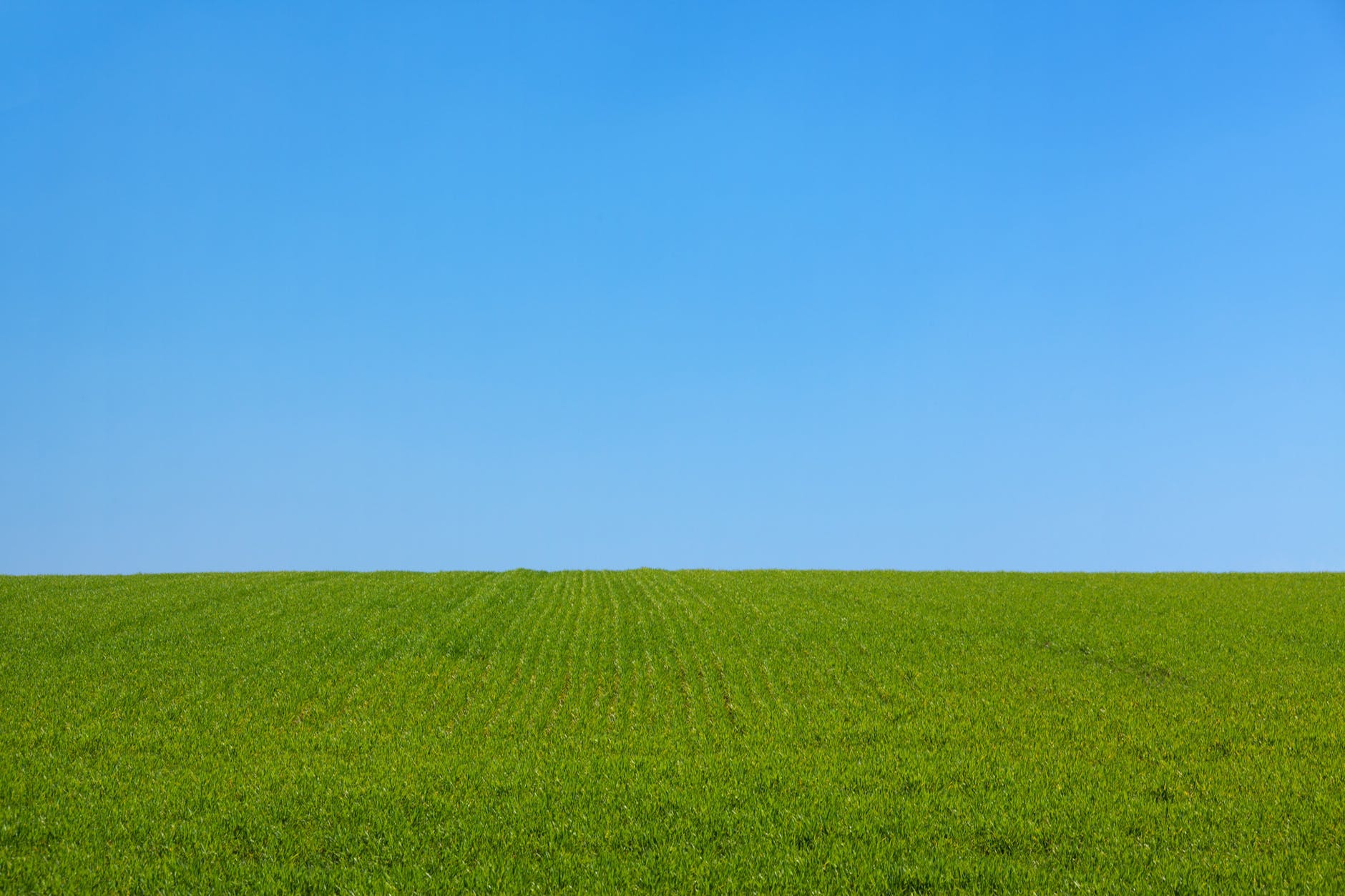 Will There Be A Change In Green Belt Thinking?