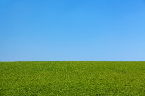 Will There Be A Change In Green Belt Thinking?