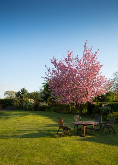 Simple Garden Makeover Tips for Sellers in South Manchester