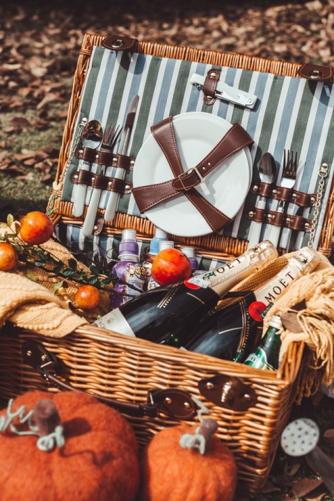 Seven Super Ideas for Preparing the Ideal Picnic in South Manchester