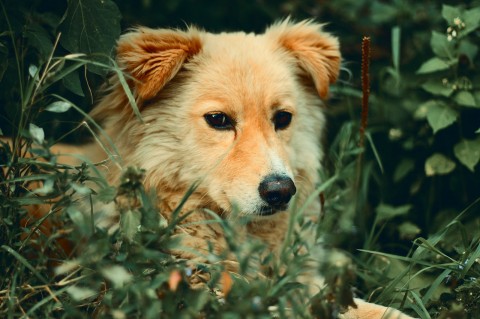 Three Stories to Lift Your Spirits in South Manchester Today
