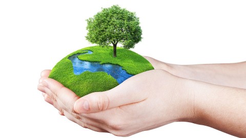 Ways To Help The Earth From Your South Manchester Home