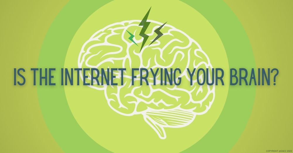 Is the Internet Frying Your Brain?