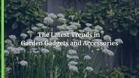 The Latest Trends in Garden Gadgets and Accessories