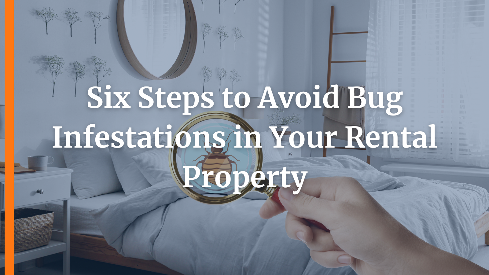 Six Steps to Avoid Bug Infestations in Your Rental Property