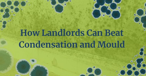 How Landlords Can Beat Condensation and Mould