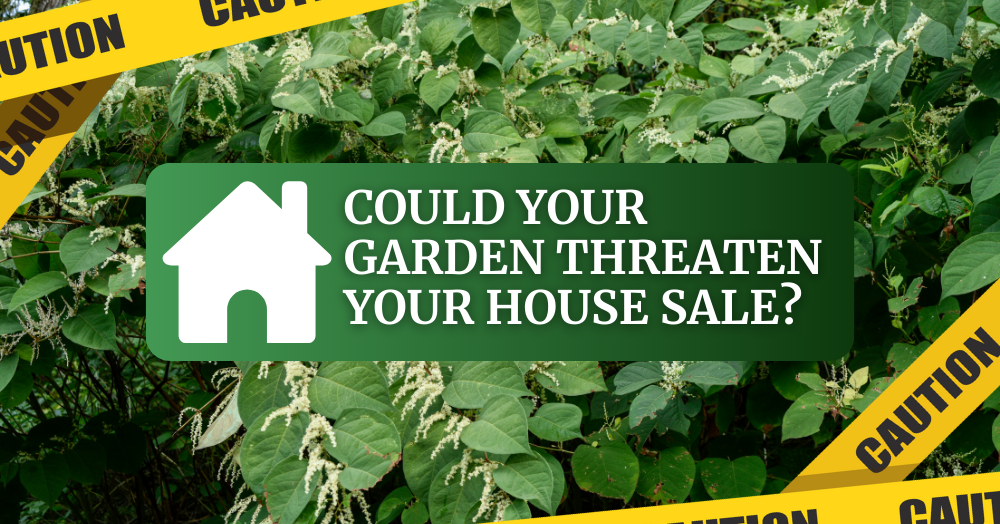 Could Your Stockport Garden Threaten Your House Sale?