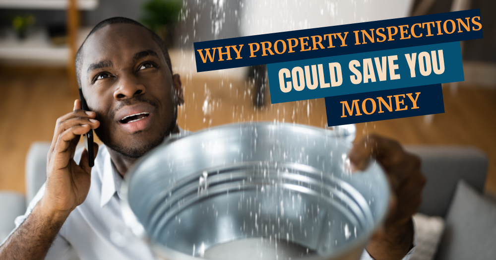 Why Property Inspections Could Save You Money 