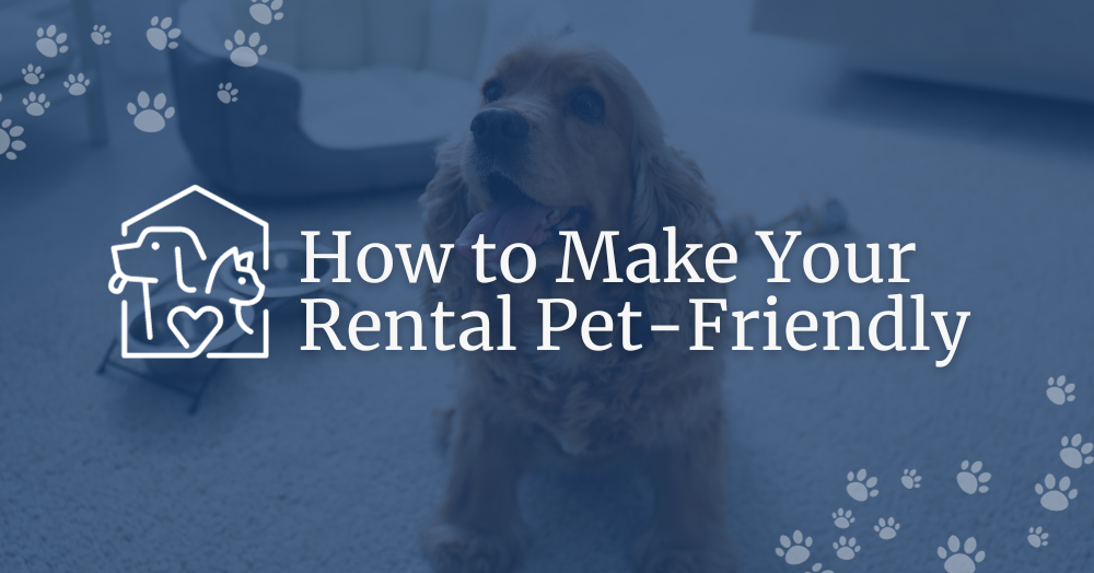How to Make Your Rental Pet-Friendly