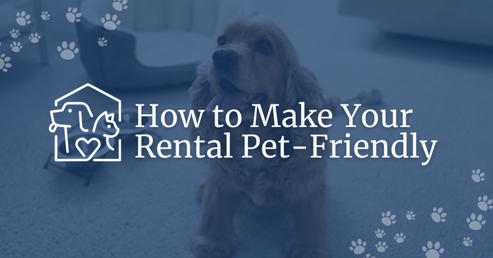 How to Make Your Rental PetFriendly
